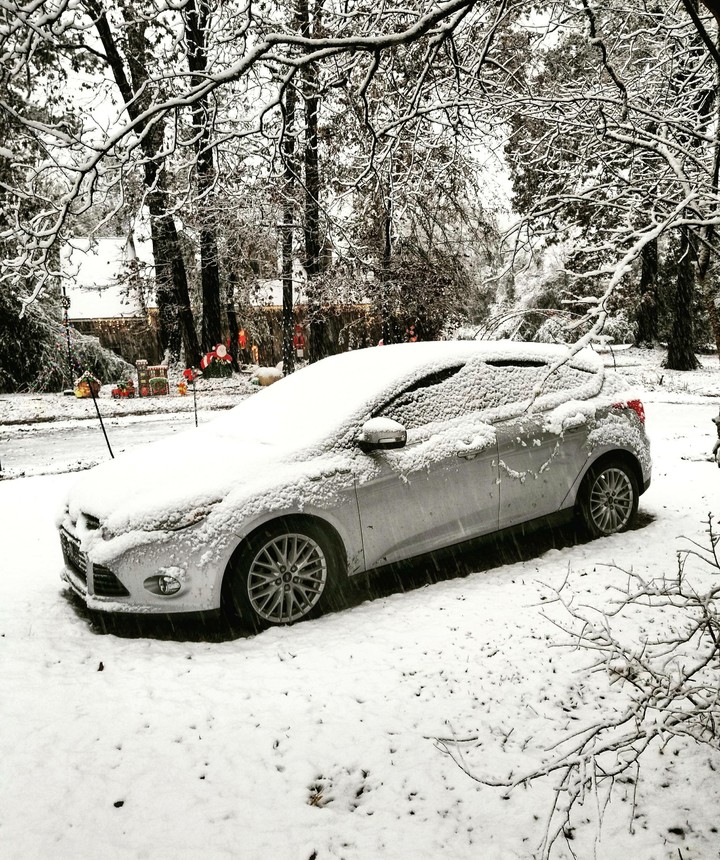 wintery bliss