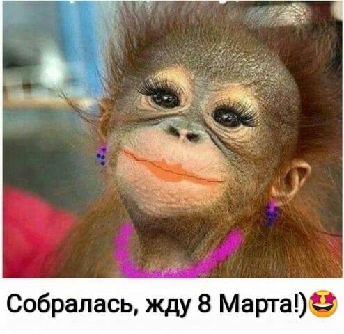 ozhidanie