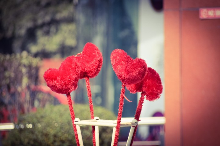 Bloomed hearts