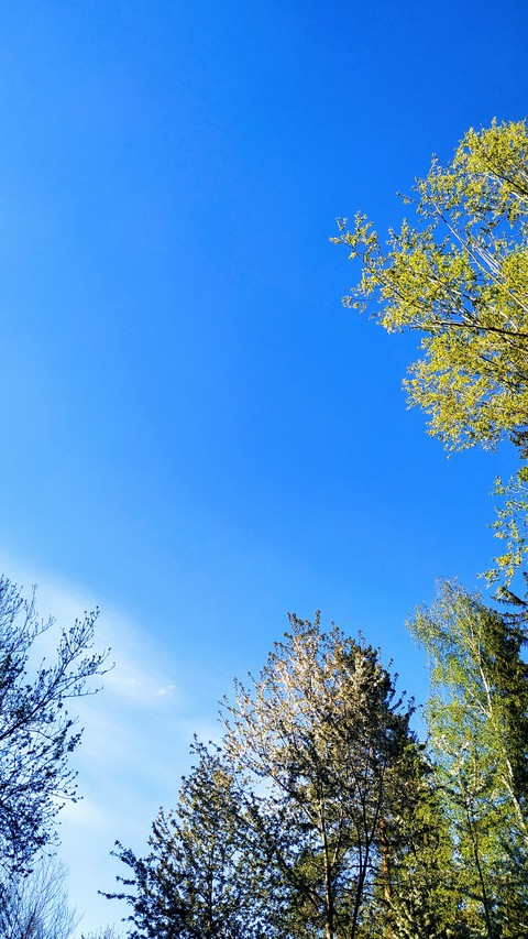 #nature