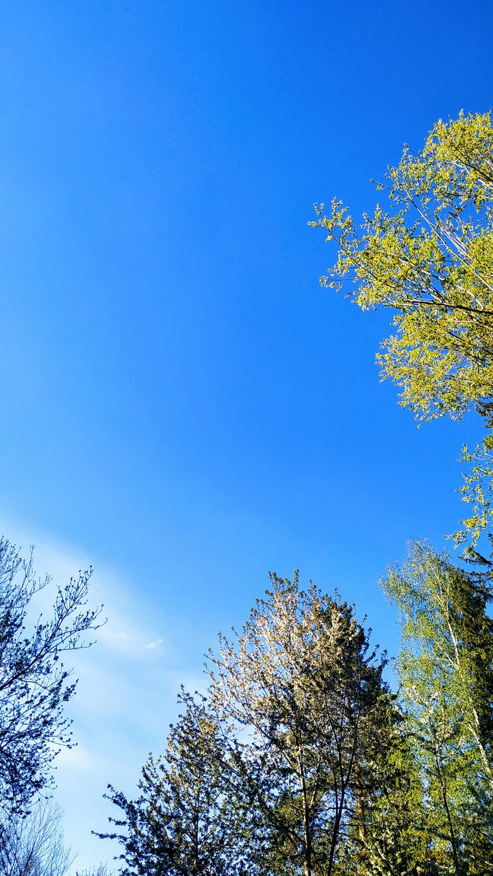 #nature
