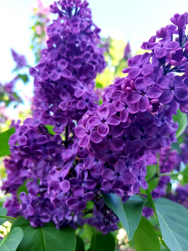 Beauty is in details