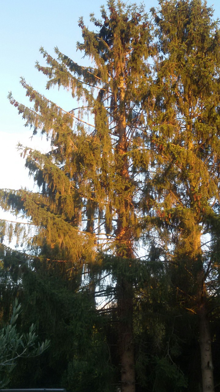 Kupfergrün + müde