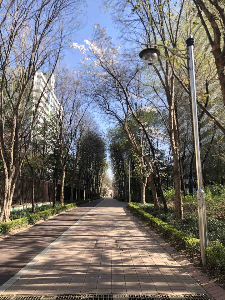 Spring afternoon