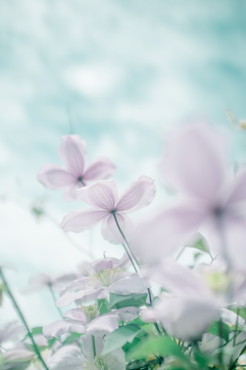 고요한 분위기