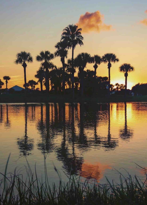 reflection