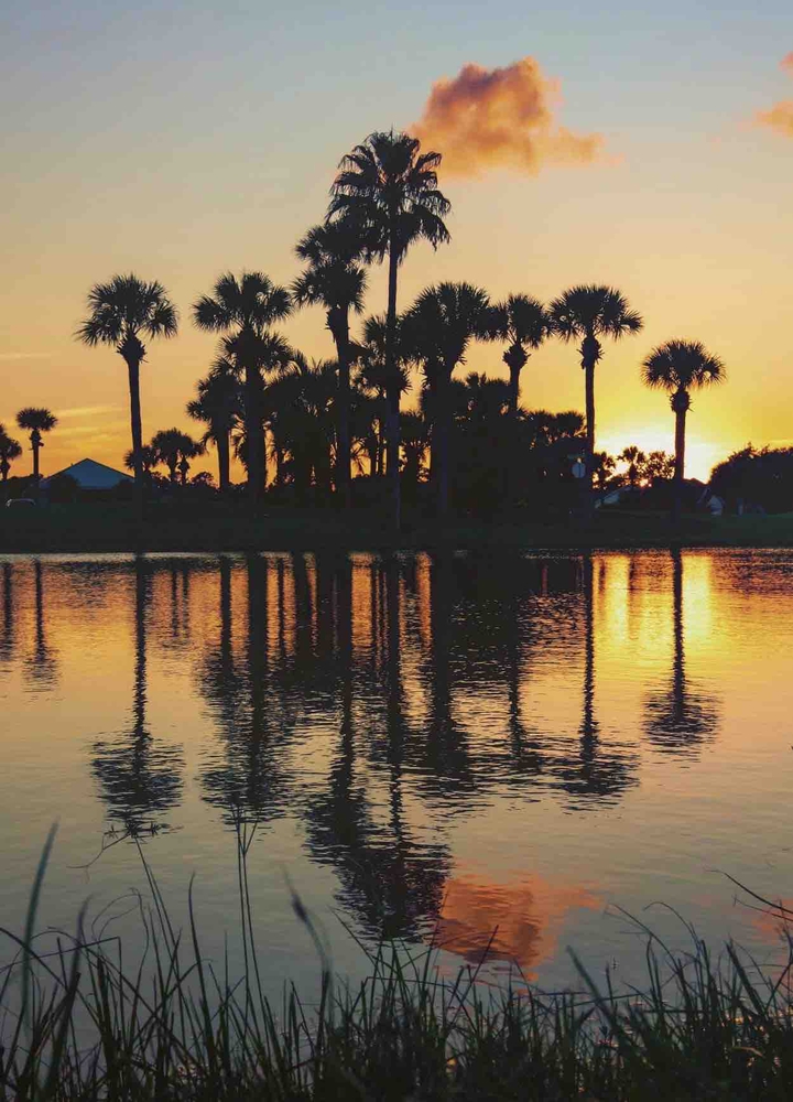 reflection