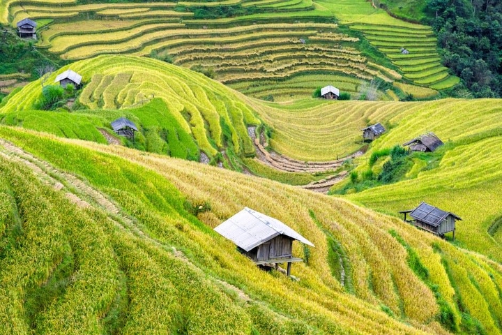 field