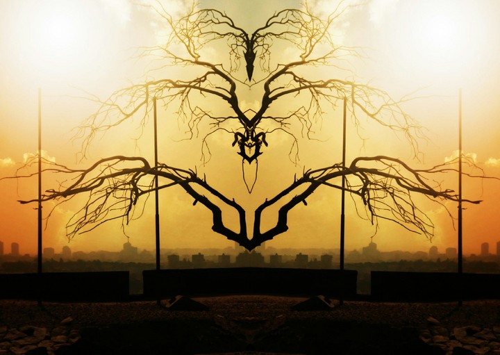 reflection