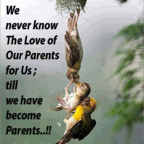 parents