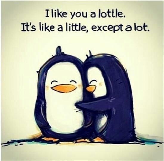 I like you a lottle