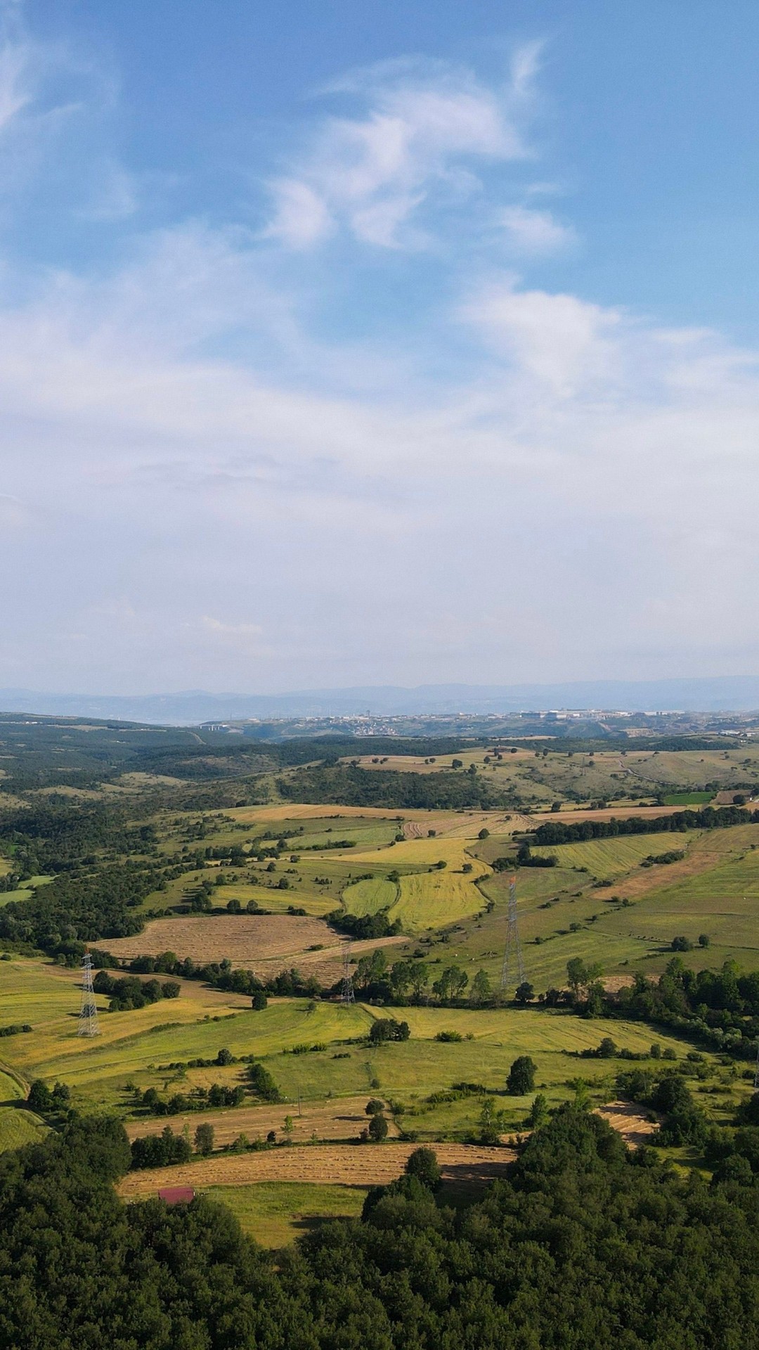 обои grassland, landscapes