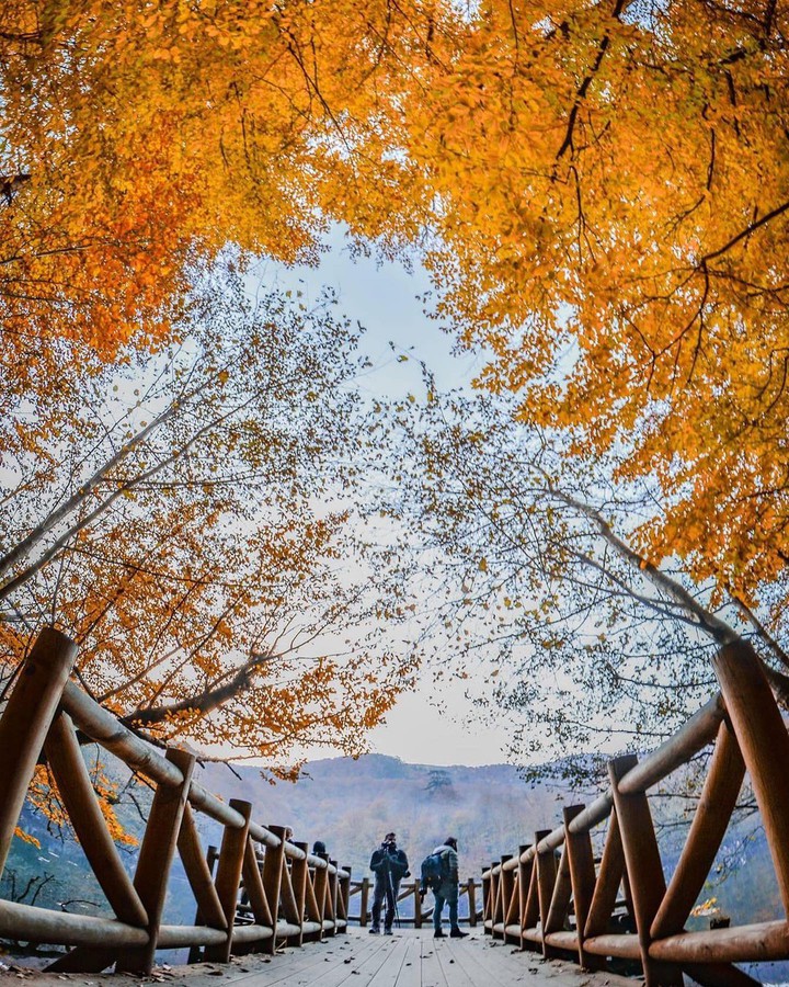 Bolu abant