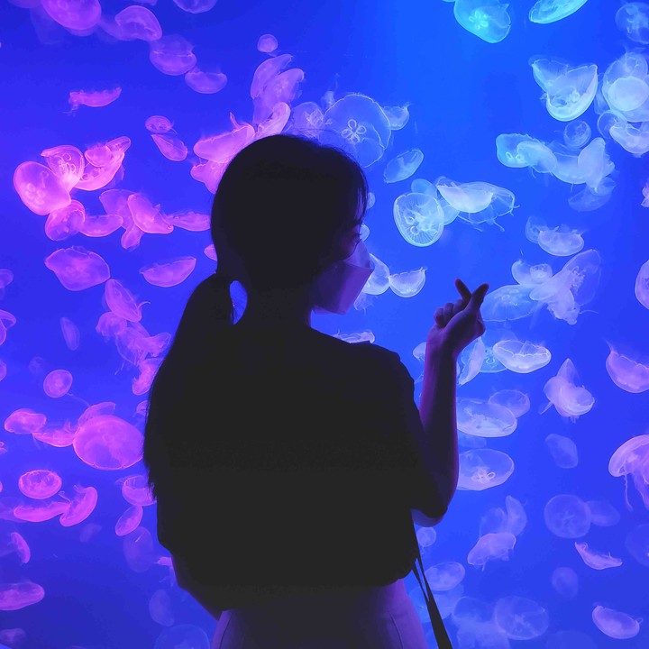 Photo with jellyfish