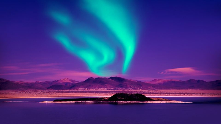 PURPLE and GREEN