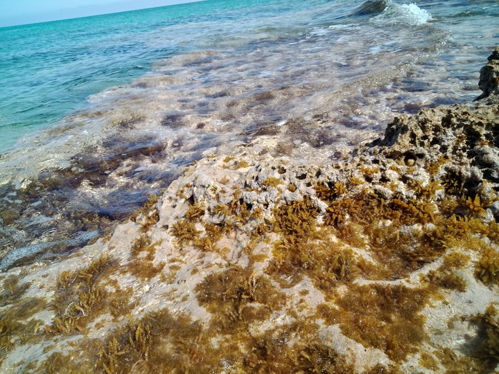 The beach