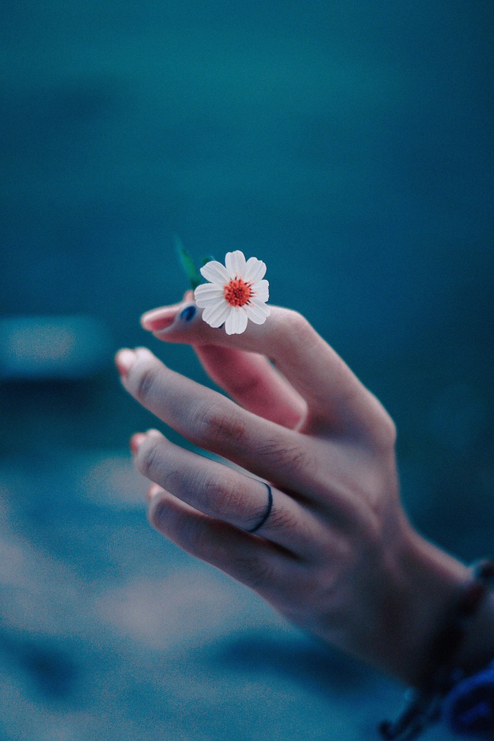 hand