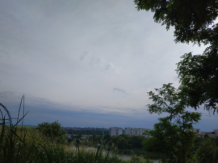 view