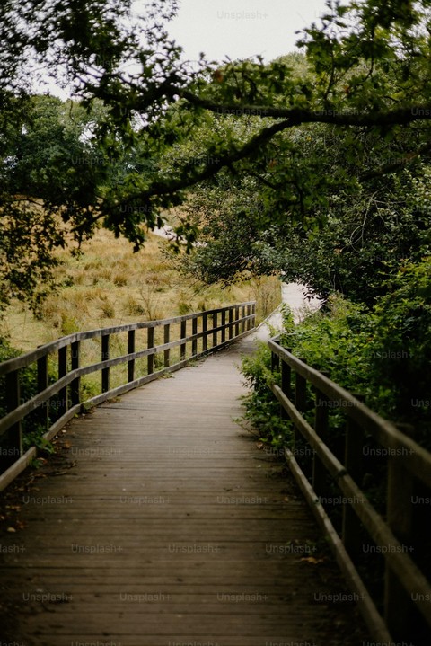 tapety wood, Fence