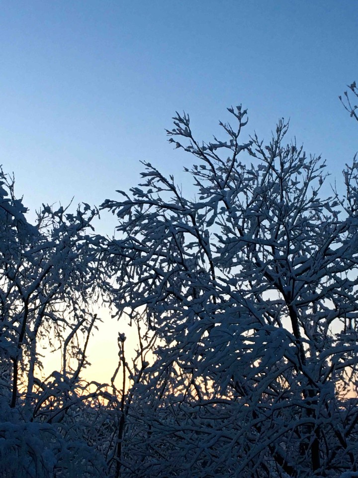Winter