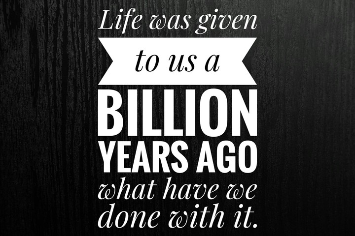 How was the life??