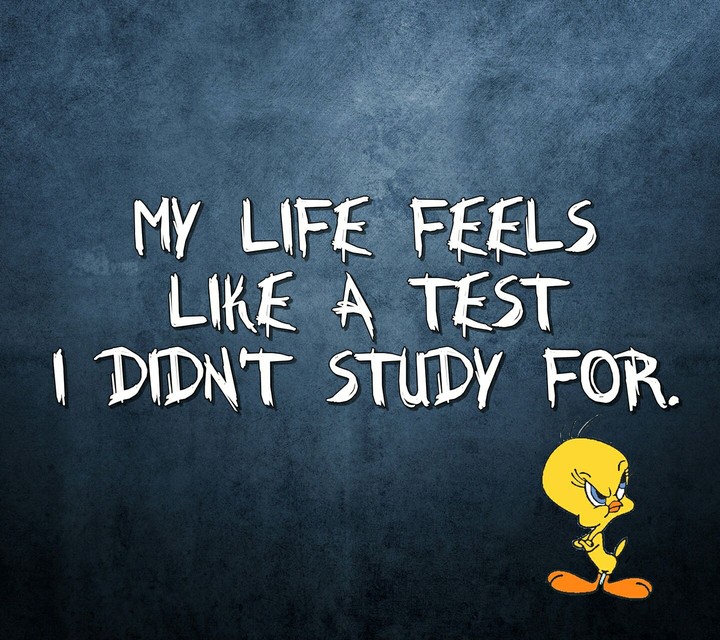 Life is a test.