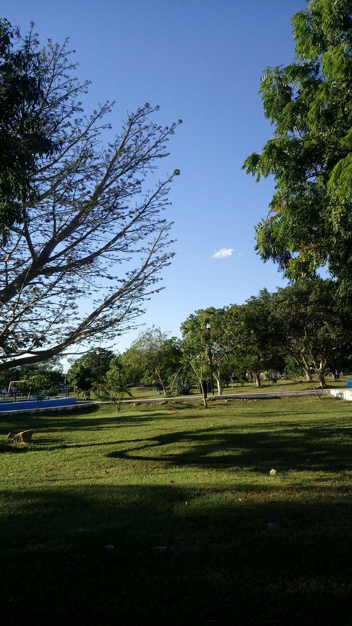 alone cloud