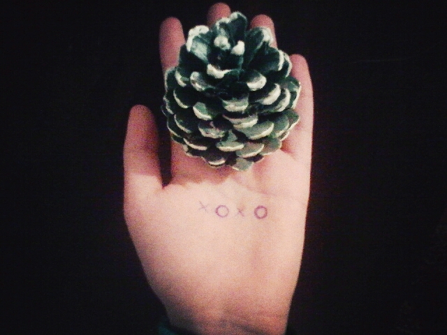 xoxo