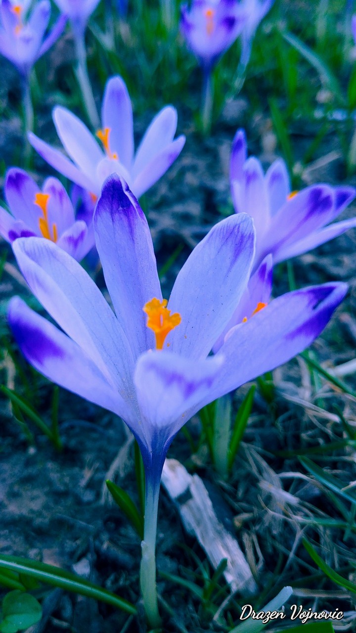 Deep Purple power.