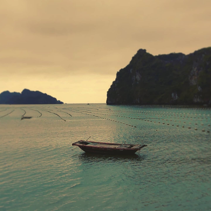 peaceful
