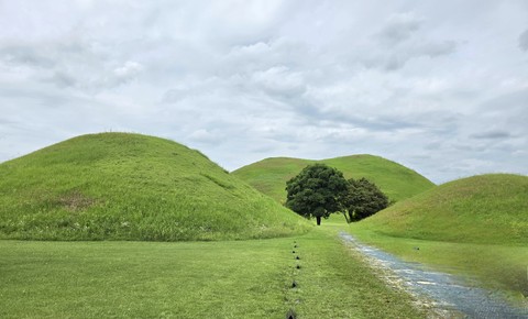 ecoregion, plain achtergronden