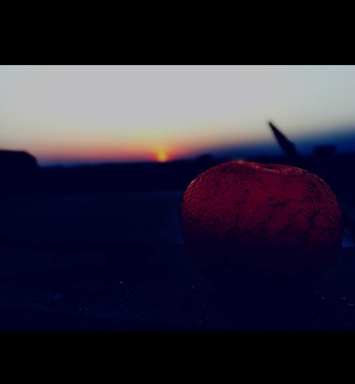 delicacies of life