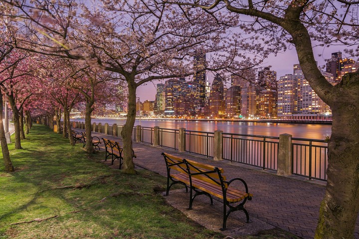 Beautiful Park