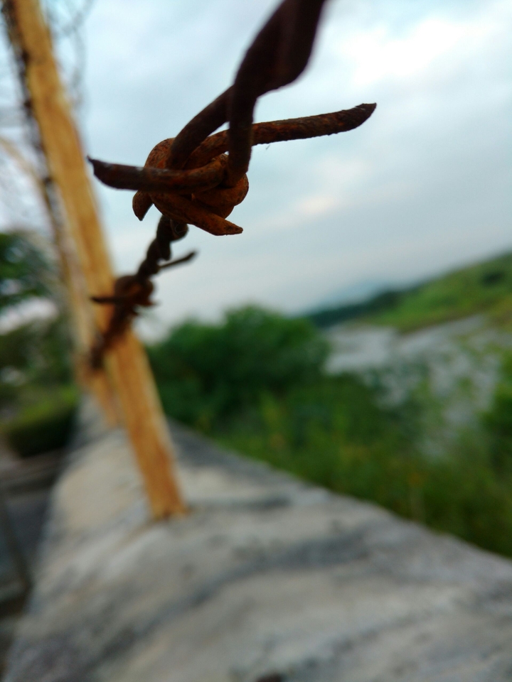 wire