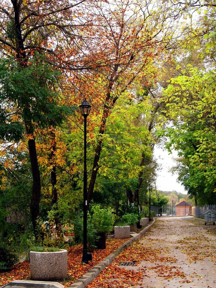 Autumn in Iasi