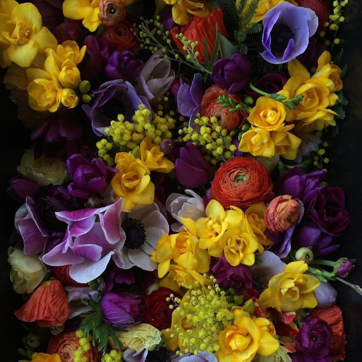 flowers