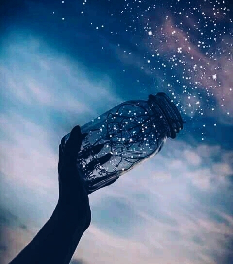 stars(별)