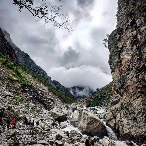nature