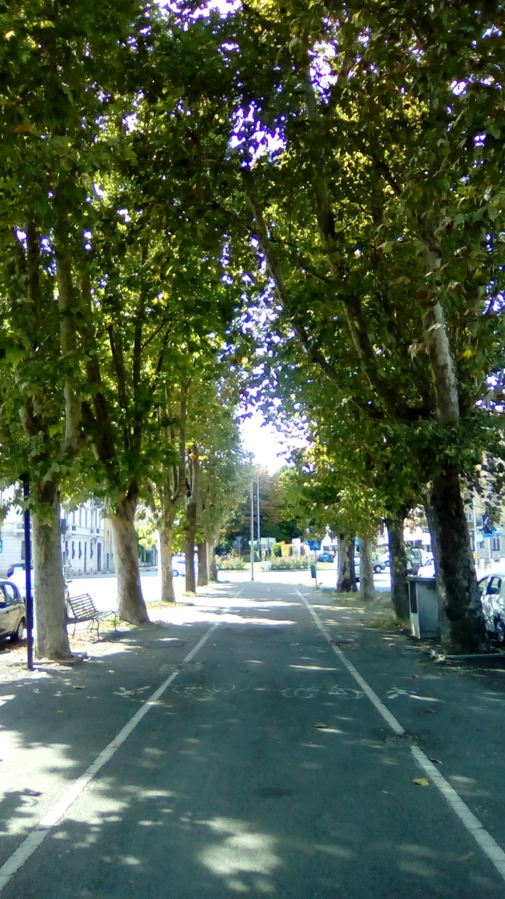street in Alessandria, Italy