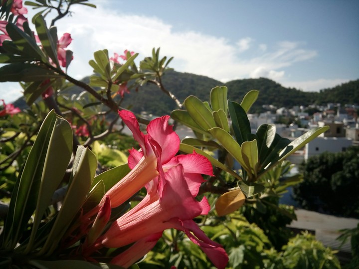Sunny day