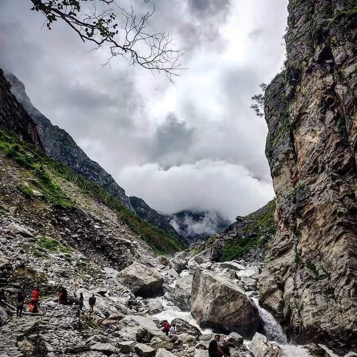 nature