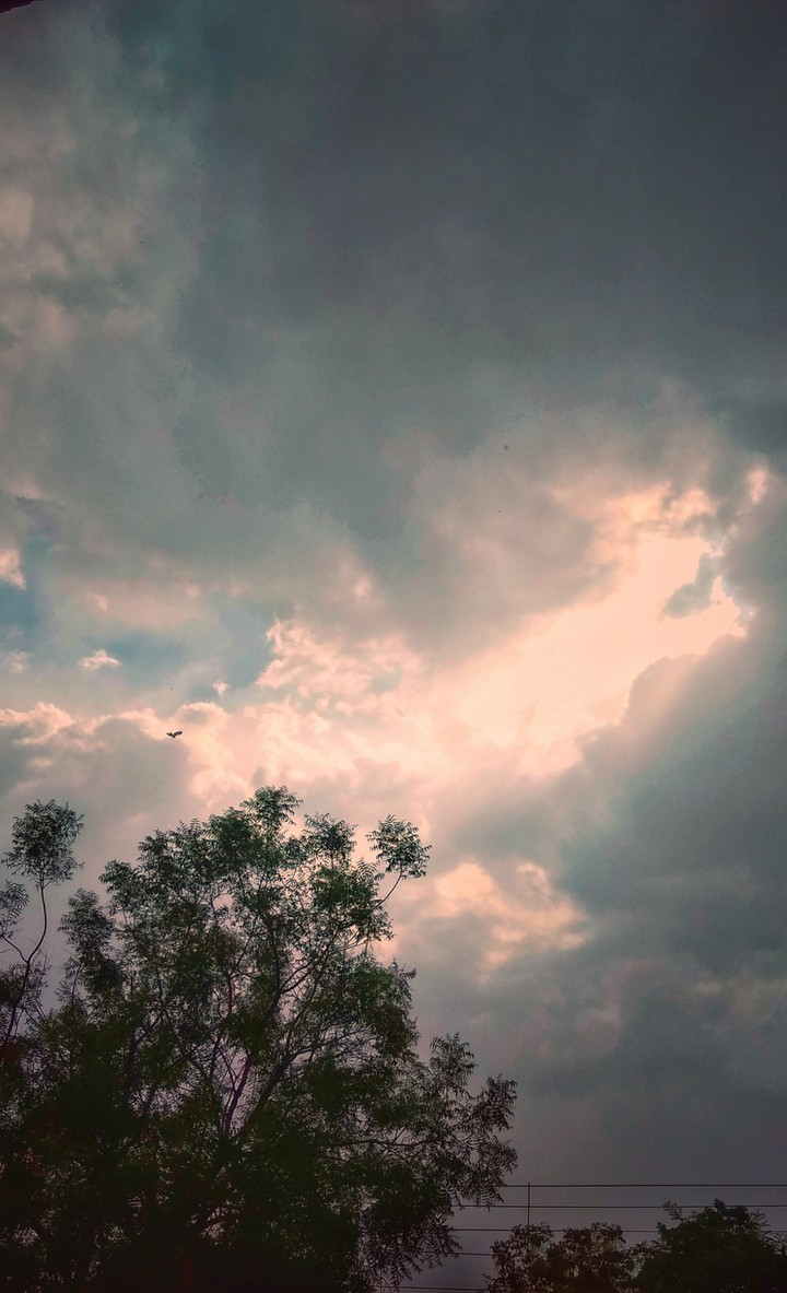 weather