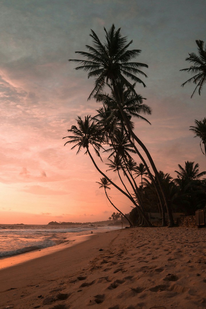 sea beach