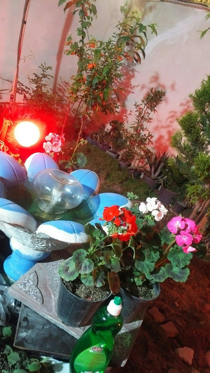patio...