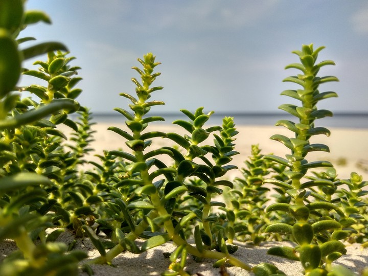 Gagaciems, Latvia