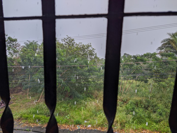 Dias de chuva
