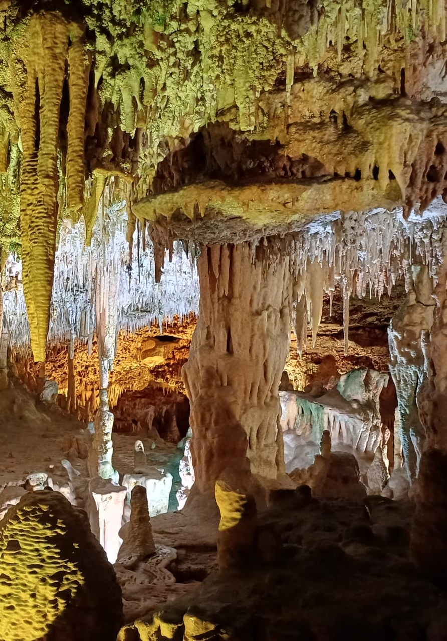sfondi formation, nature