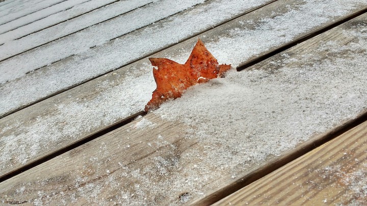 winter is coming
