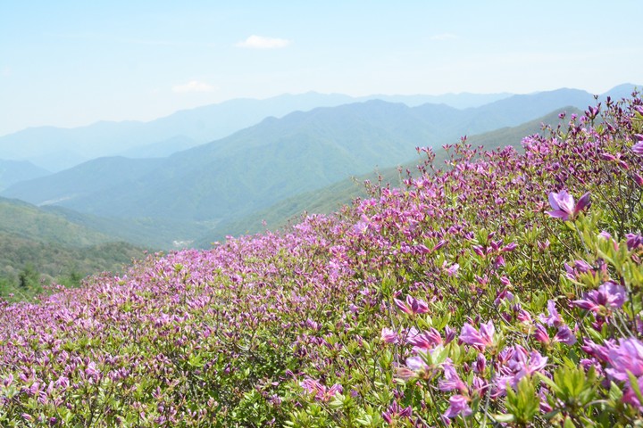 지리산이미지