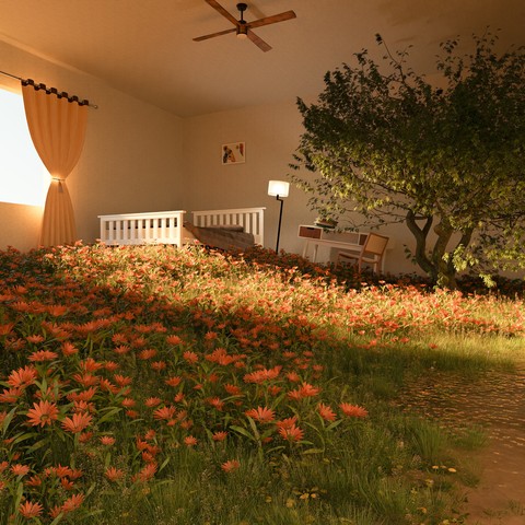 fonds d'écran lighting, flower
